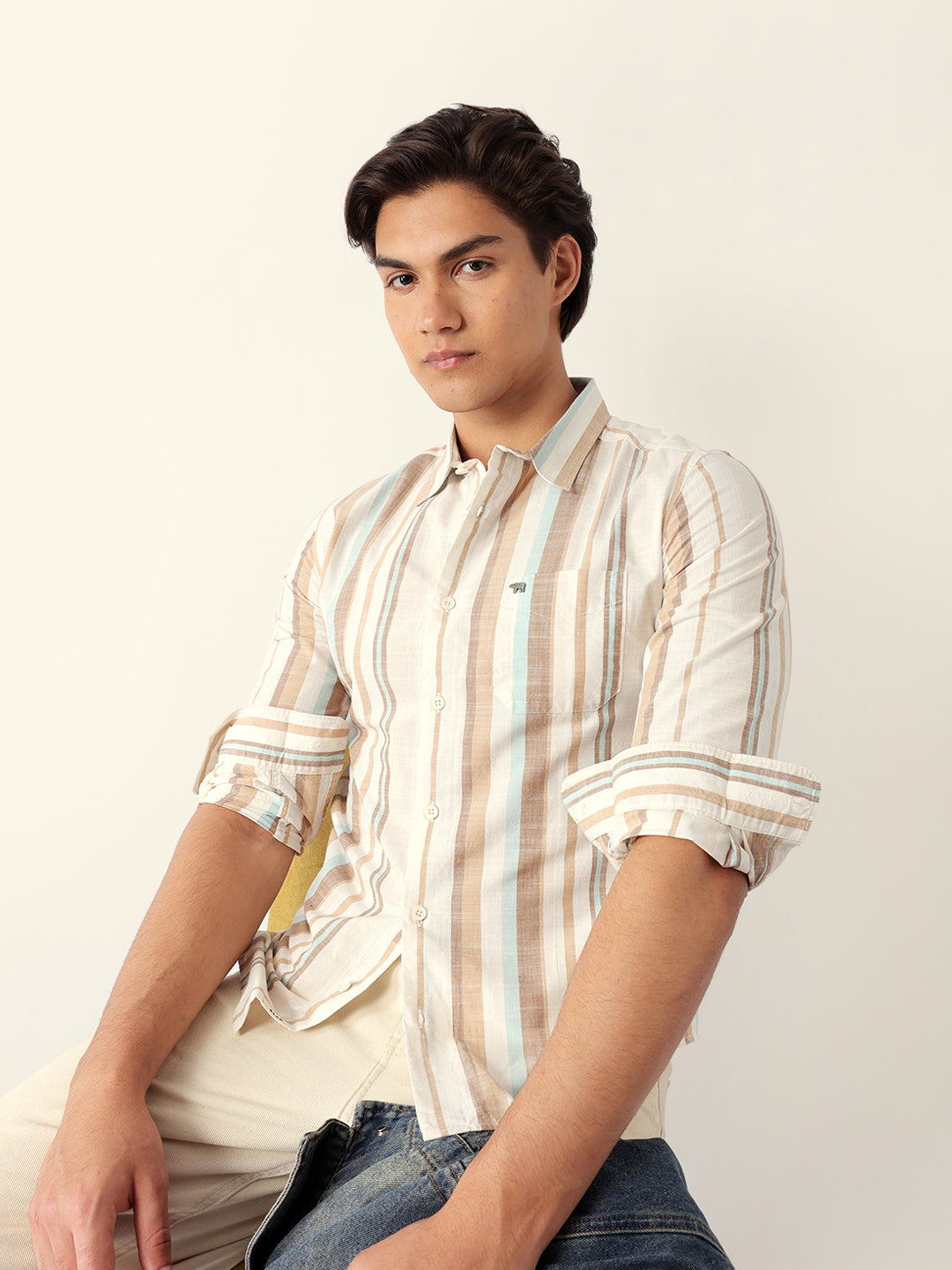 Multicolor Woven Vertical Stripes Slim Fit Casual Shirt
