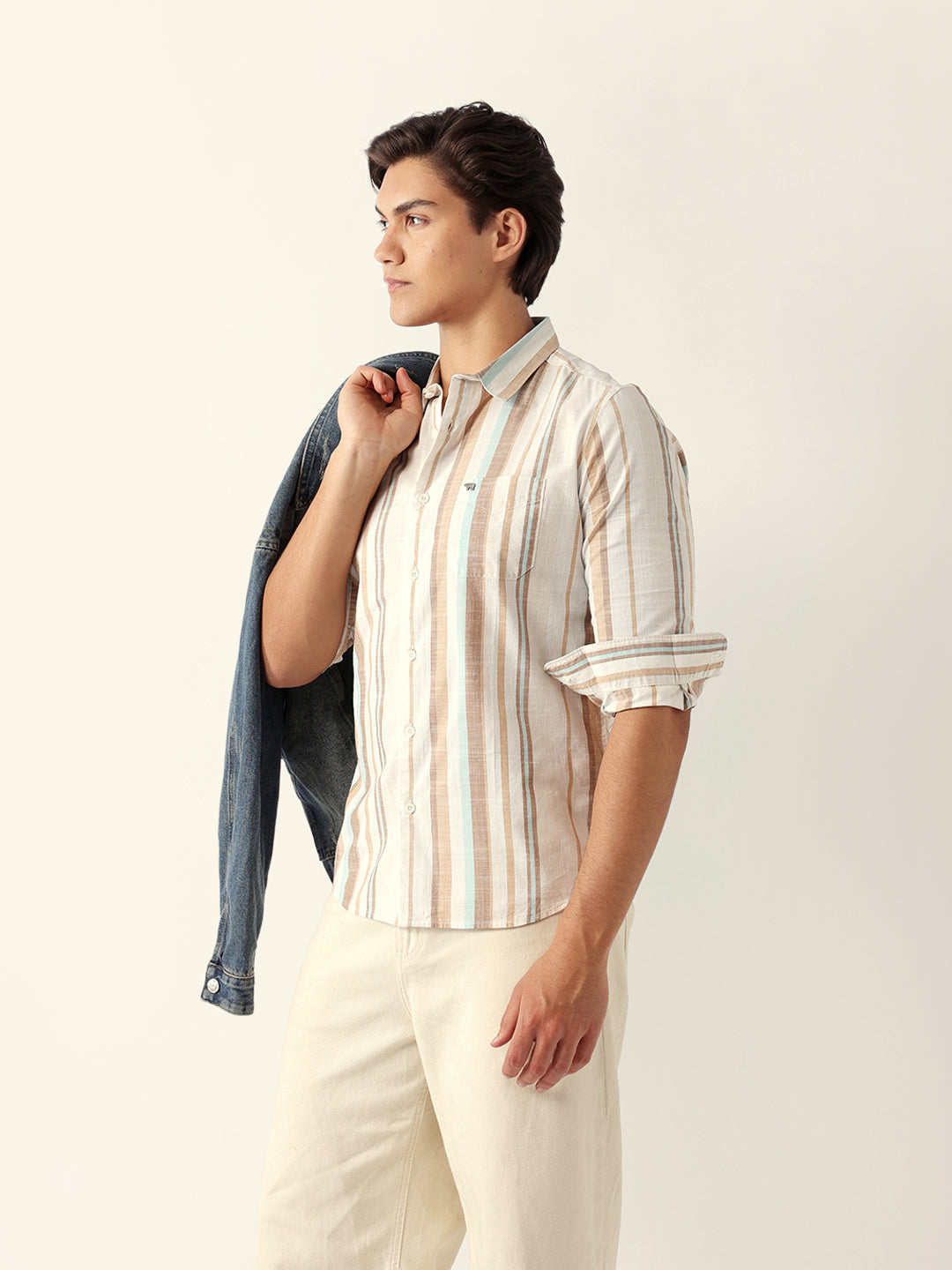 Multicolor Woven Vertical Stripes Slim Fit Casual Shirt
