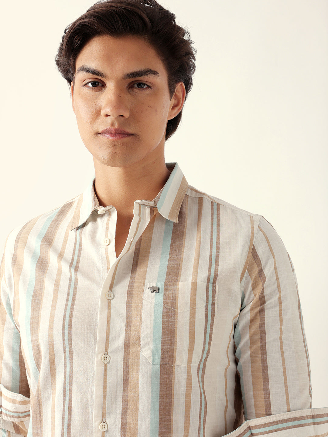 Multicolor Woven Vertical Stripes Slim Fit Casual Shirt