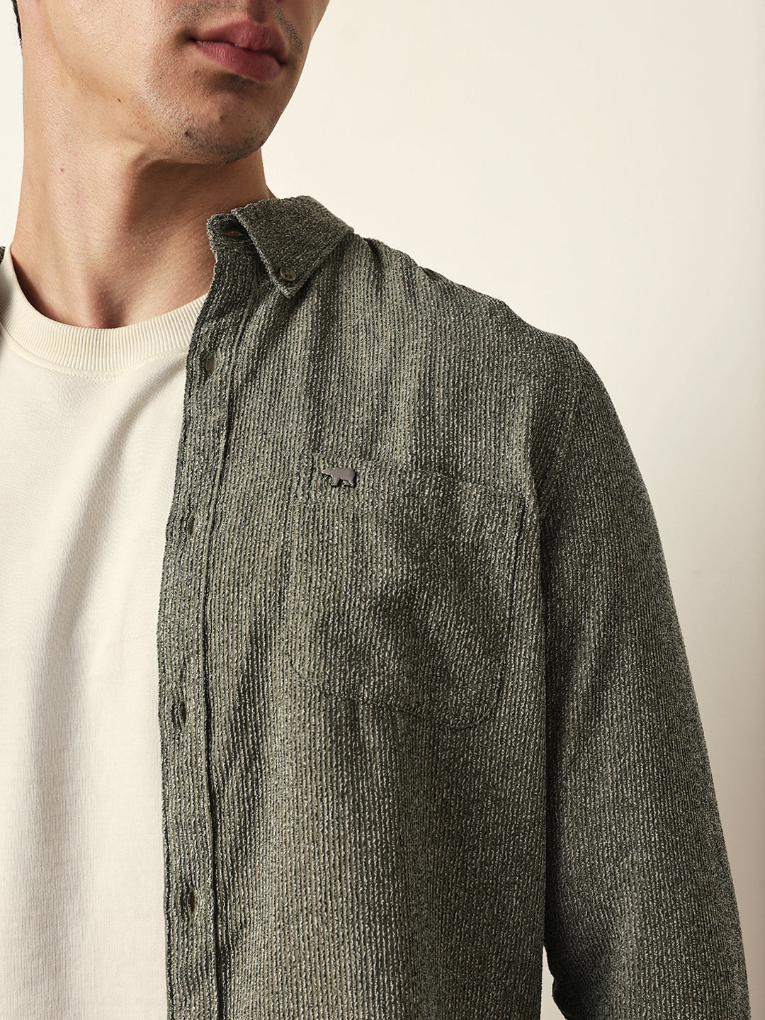 Green Textured Woven Striped Slim Fit Casual Shirt