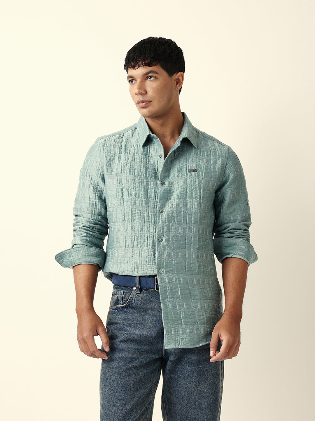 Light Green Textured Woven Self-Design Slim Fit Casual Shirt