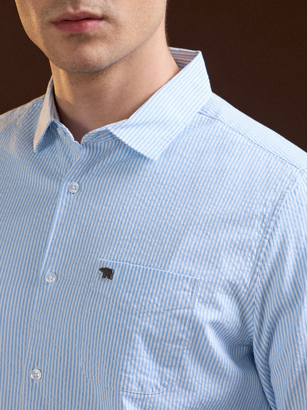 Light Blue Pin Vertical Stripes Slim Fit Casual Shirt