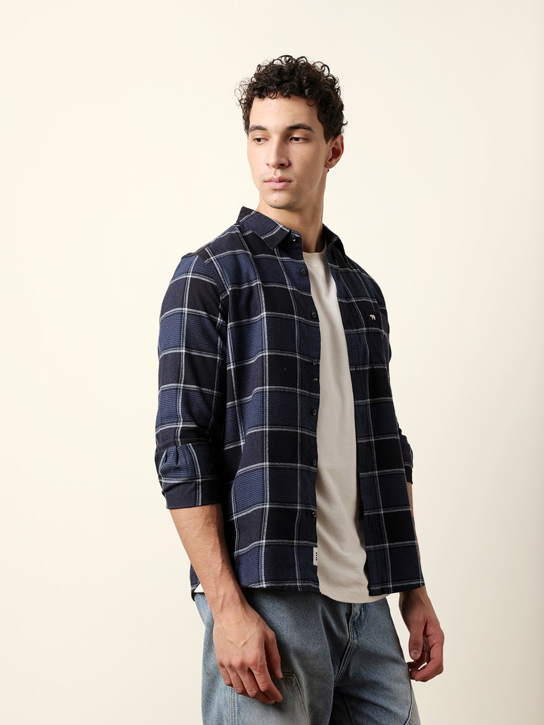 Blue Regular Fit Woven Check Flannel Casual Shirt