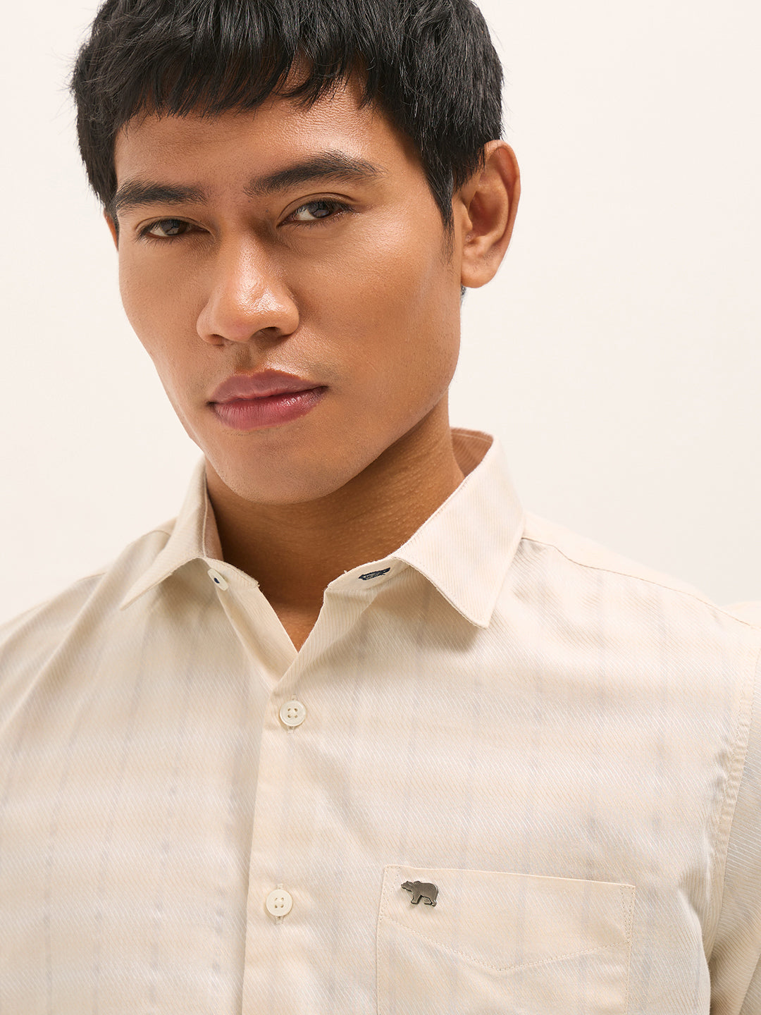 Beige Woven Stripe Tailored Fit Formal Shirt