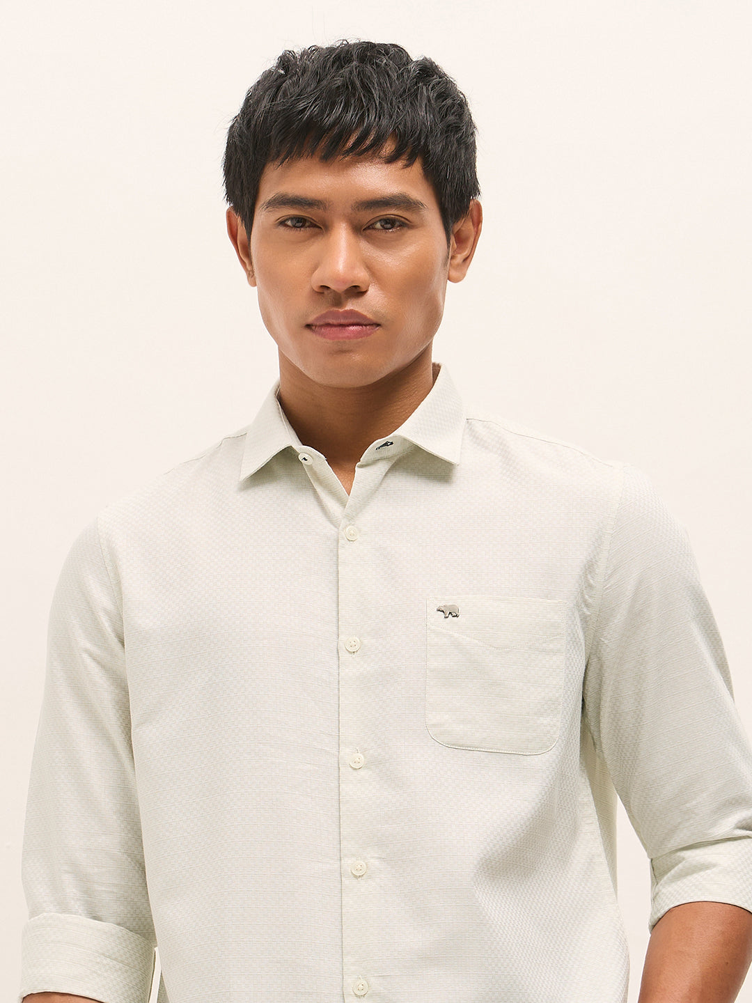 Light Green Woven Cotton Blend Tailored Fit Formal Shirt