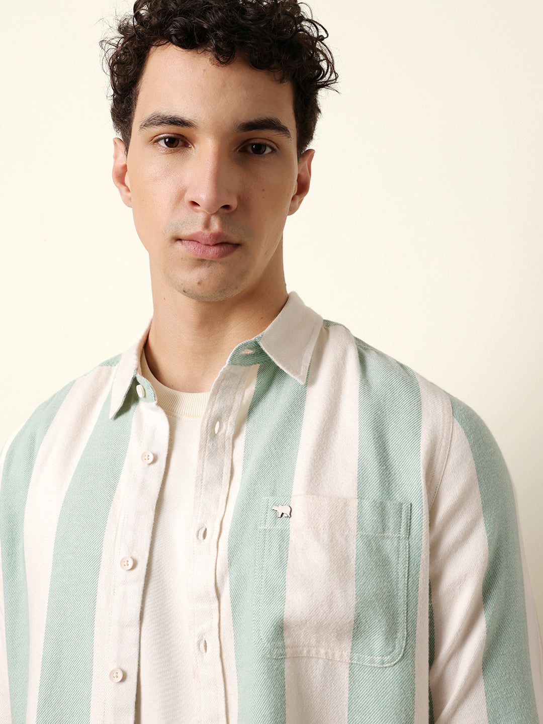 Green & Cream Woven Striped Flannel Regular Fit Casual Shirt