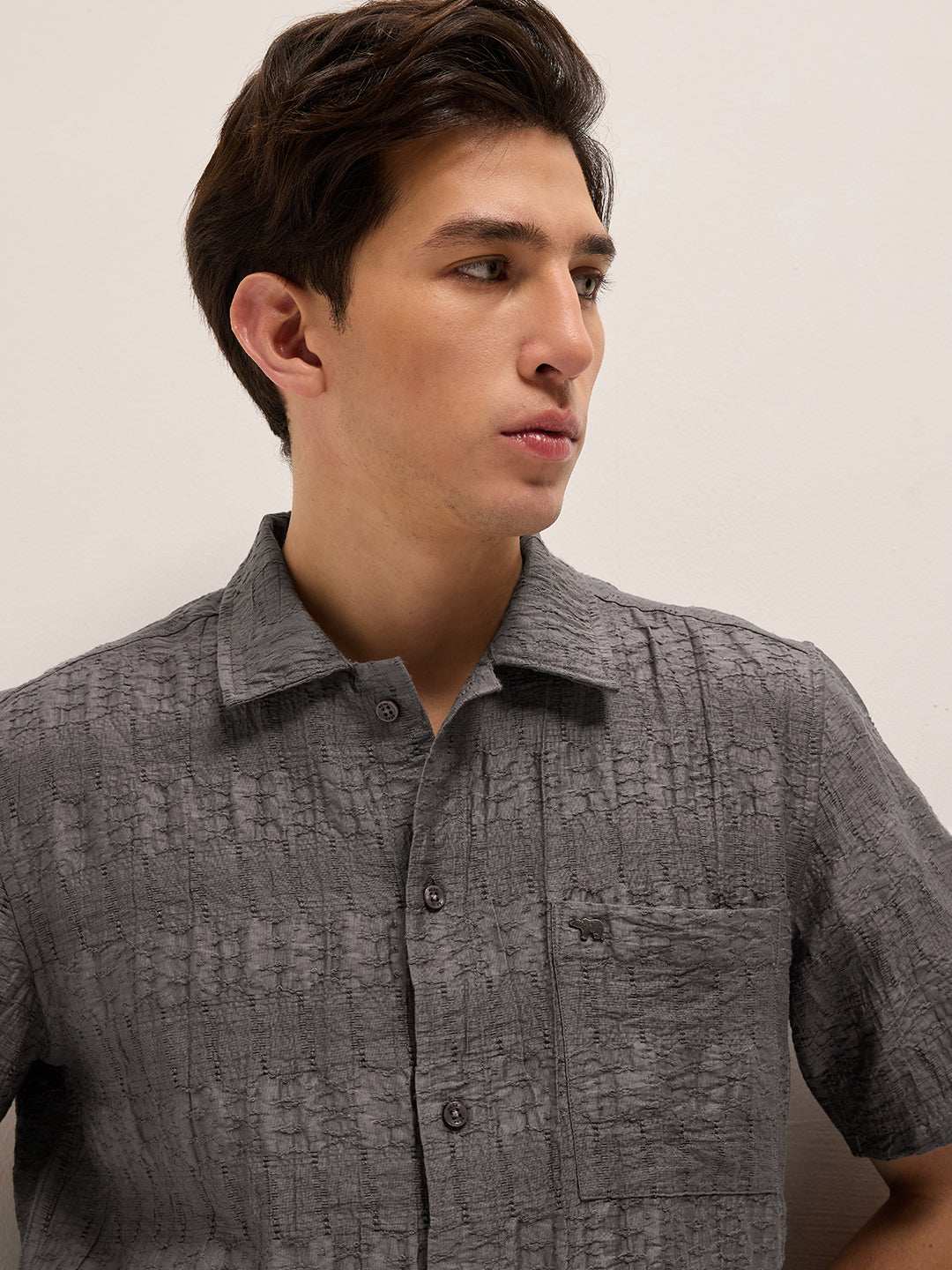 Grey Crinkle Textured Regular Fit Half-Sleeve Casual Shirt