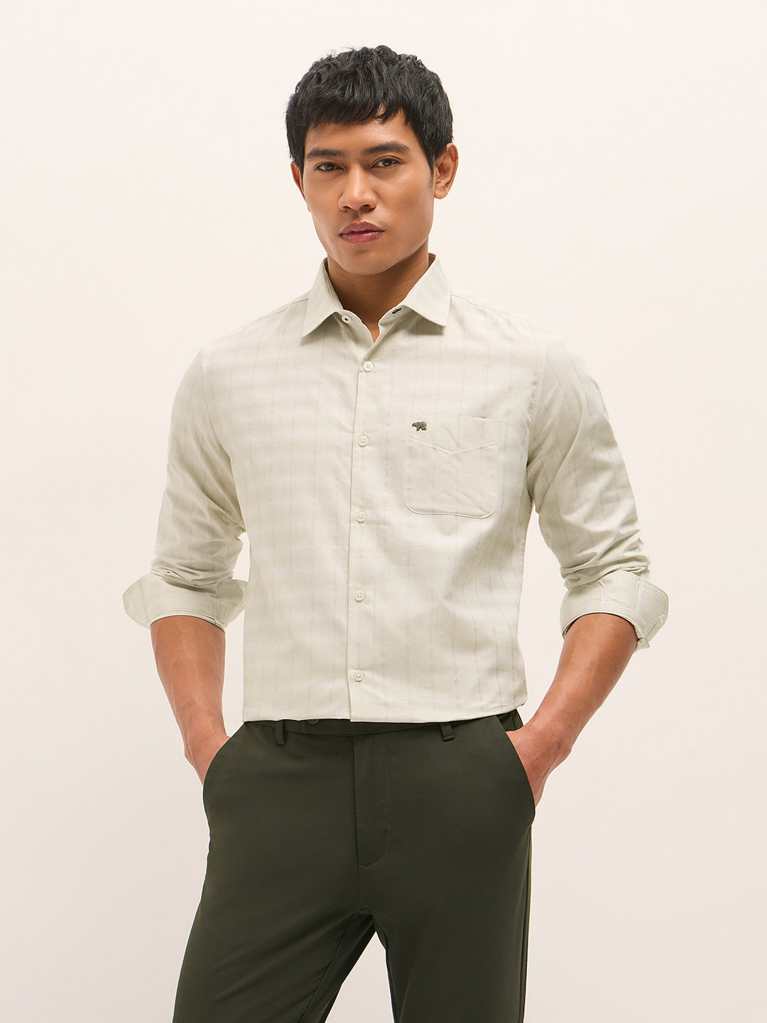 Light Green Woven Stripe Tailored Fit Formal Shirt