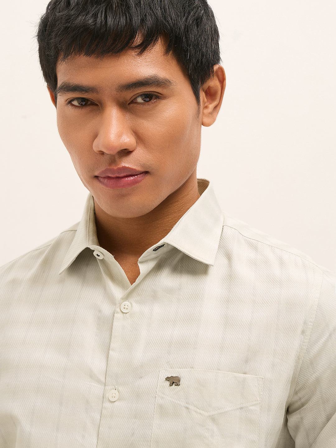 Light Green Woven Stripe Tailored Fit Formal Shirt