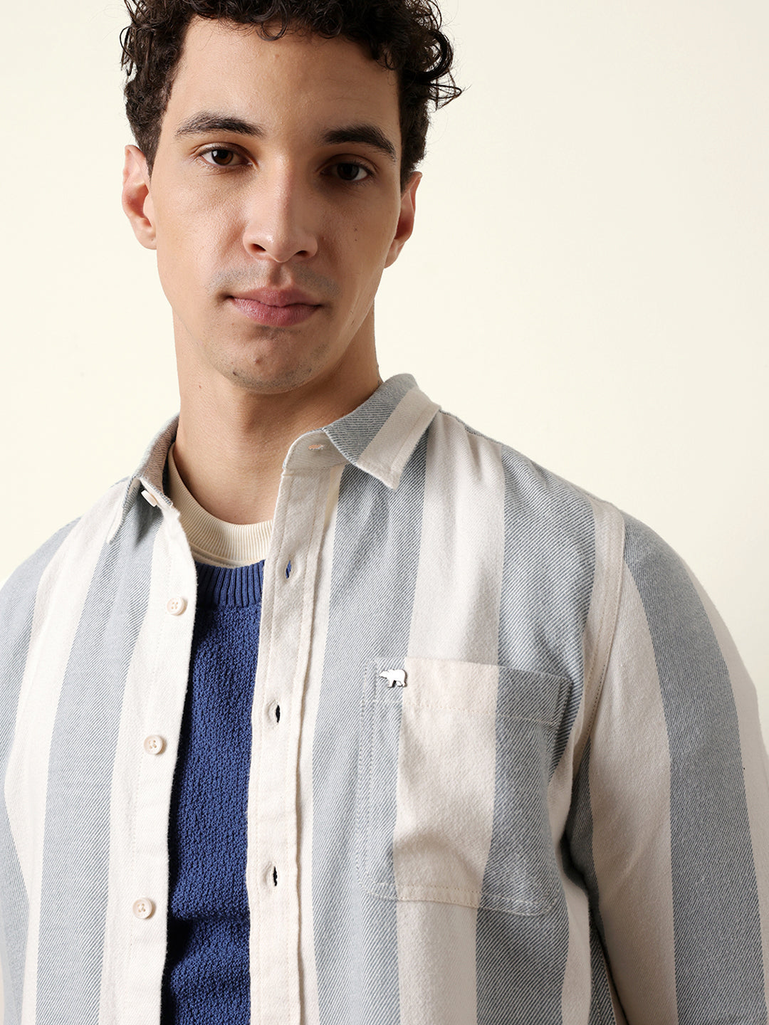 Blue & Cream Woven Striped Flannel Regular Fit Casual Shirt